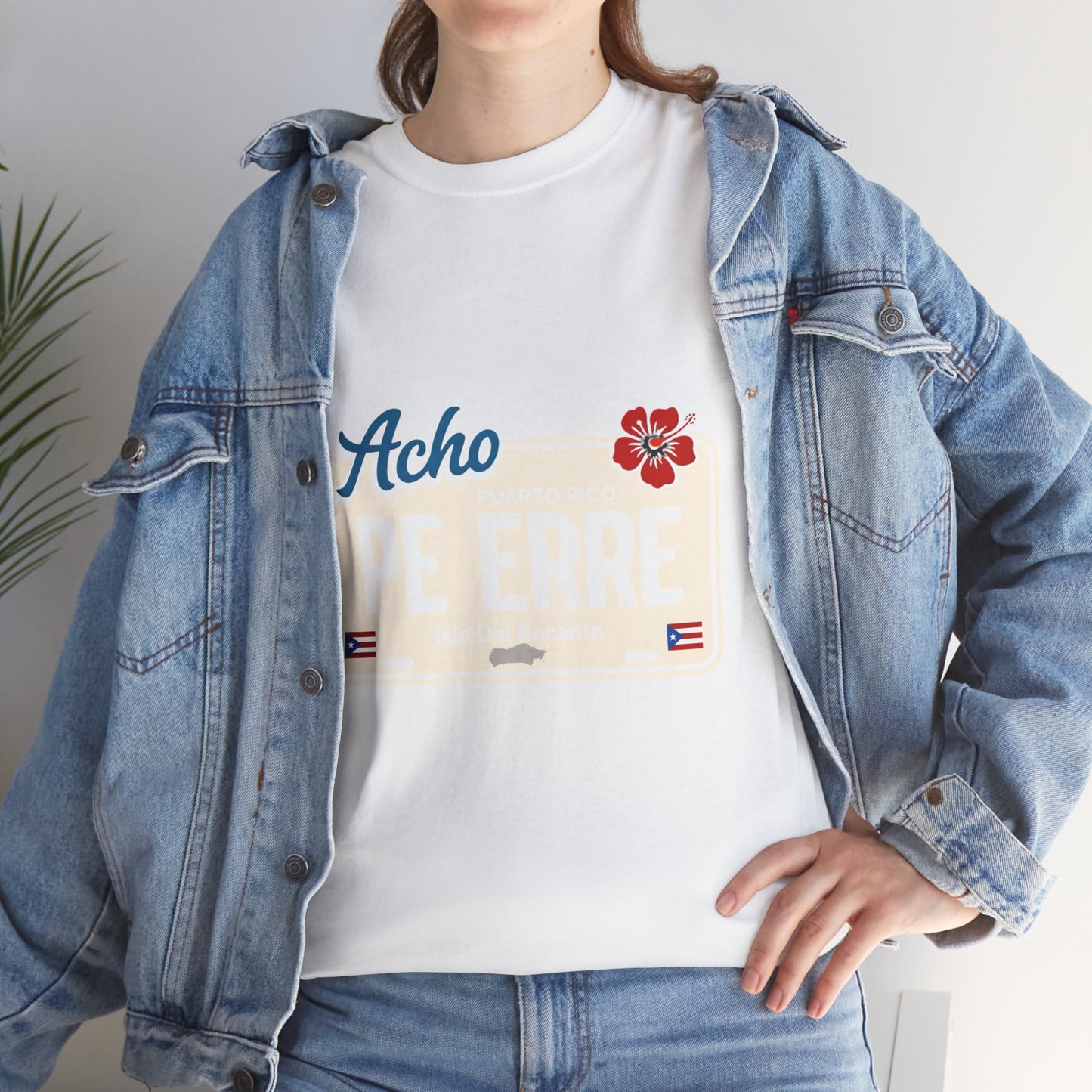 Acho PE ERRE Puerto Rico License Plate Tee — Isla Del Encanto Pride Shirt