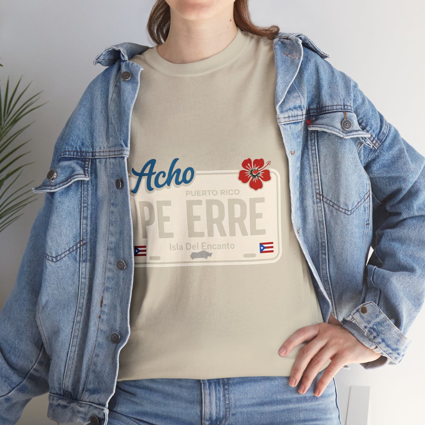 Acho PE ERRE Puerto Rico License Plate Tee — Isla Del Encanto Pride Shirt