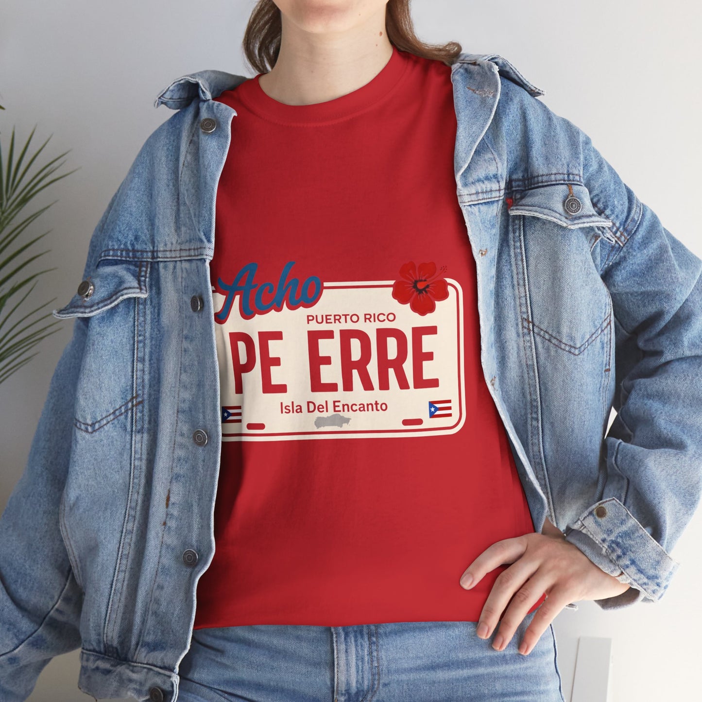 Acho PE ERRE Puerto Rico License Plate Tee — Isla Del Encanto Pride Shirt