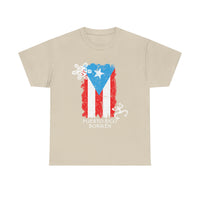 Puerto Rico Borikén Flag Tee — Taíno Petroglyph Heritage Vintage