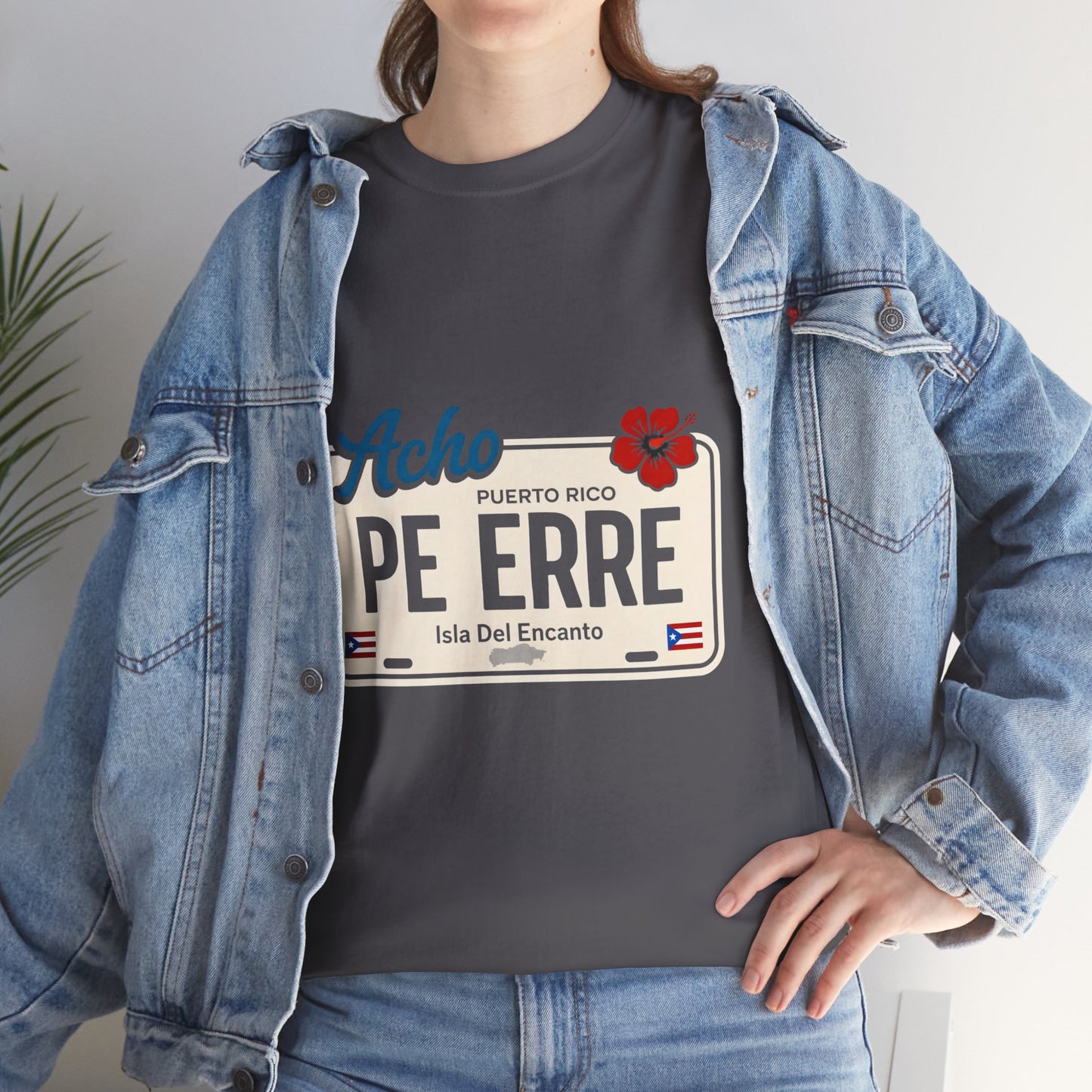 Acho PE ERRE Puerto Rico License Plate Tee — Isla Del Encanto Pride Shirt