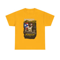 Roberto Clemente Puerto Rico Tribute T-Shirt